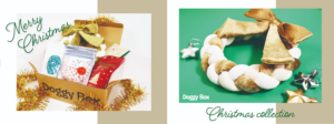 ドギーボックス2019‗12月号中大型犬全体とおもちゃ