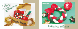 ドギーボックス2019‗12月号超小型犬全体とおもちゃ