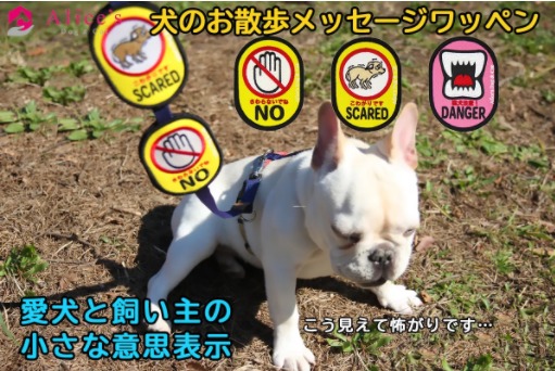 alice犬のお散歩メッセージワッペン写真